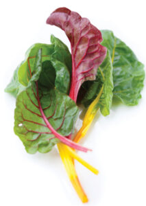 Green Nutrition Image